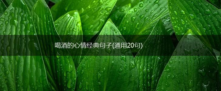 喝酒的心情经典句子(通用20句),第1张