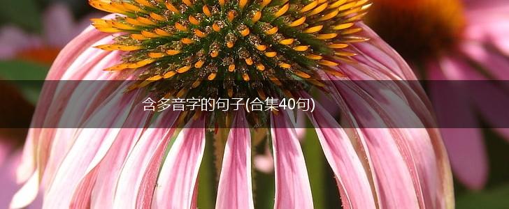 含多音字的句子(合集40句),第1张