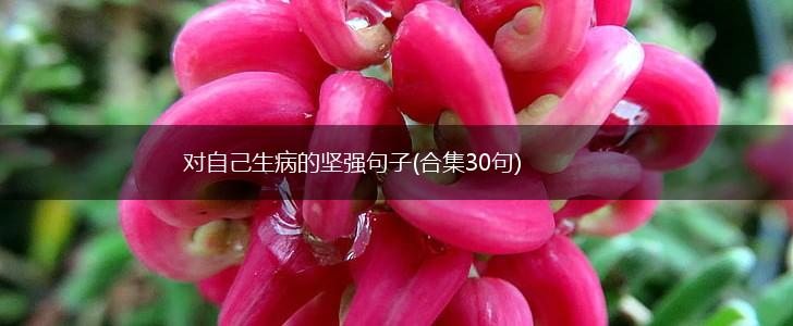 对自己生病的坚强句子(合集30句),第1张