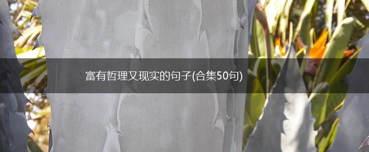 富有哲理又现实的句子(合集50句),第1张