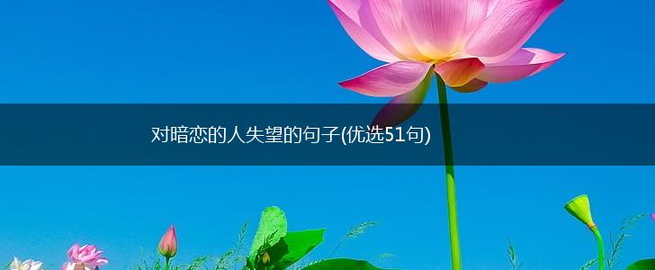 对暗恋的人失望的句子(优选51句),第1张