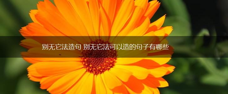 别无它法造句 别无它法可以造的句子有哪些,第1张