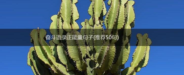 奋斗语录正能量句子(推荐50句),第1张
