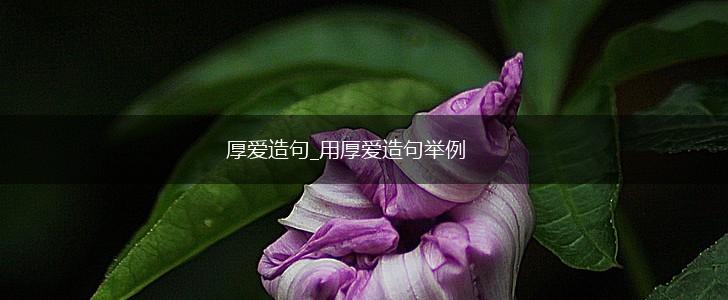 厚爱造句_用厚爱造句举例,第1张 厚爱造句_用厚爱造句举例,第1张