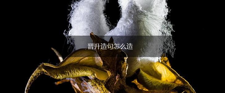 晋升造句怎么造,第1张 晋升造句怎么造,第1张