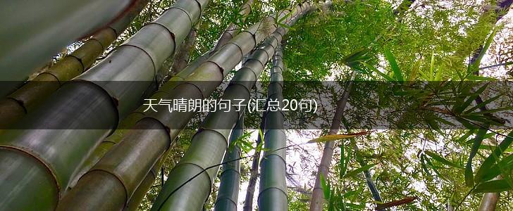 天气晴朗的句子(汇总20句),第1张