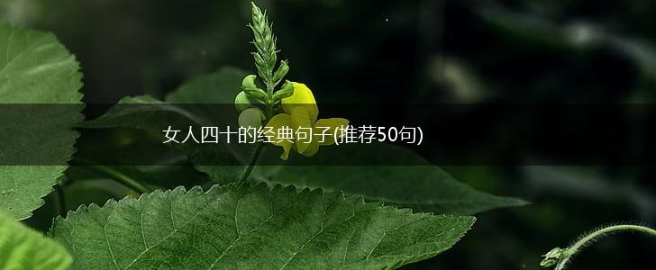 女人四十的经典句子(推荐50句),第1张