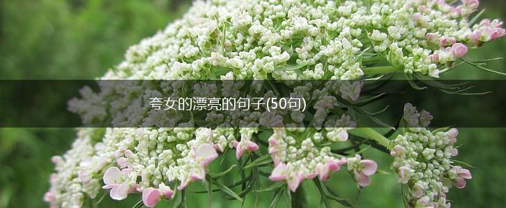 夸女的漂亮的句子(50句),第1张