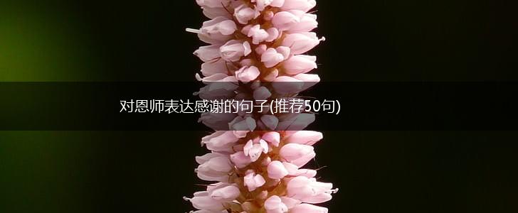 对恩师表达感谢的句子(推荐50句),第1张