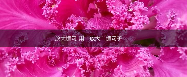 放大造句_用“放大”造句子,第1张 放大造句_用“放大”造句子,第1张