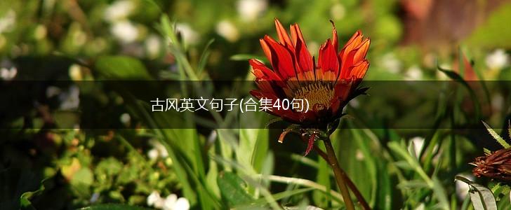 古风英文句子(合集40句),第1张