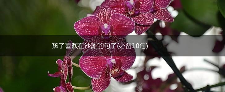 孩子喜欢在沙滩的句子(必备10句),第1张