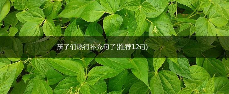 孩子们热得补充句子(推荐12句),第1张