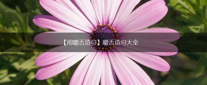 【用嚼舌造句】嚼舌造句大全,第1张 【用嚼舌造句】嚼舌造句大全,第1张