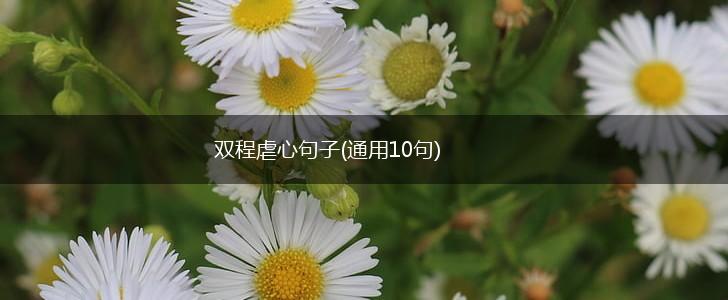 双程虐心句子(通用10句),第1张
