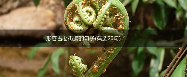 形容古老街道的句子(精选20句),第1张