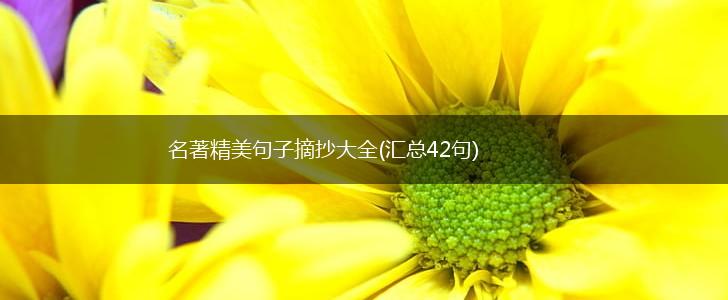 名著精美句子摘抄大全(汇总42句),第1张