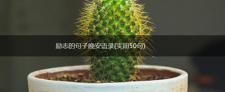 励志的句子晚安语录(实用50句),第1张