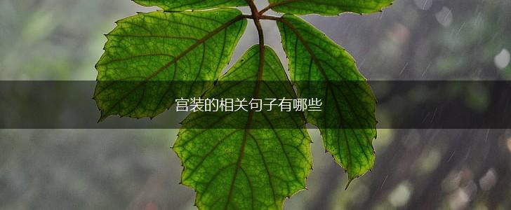 宫装的相关句子有哪些,第1张 宫装的相关句子有哪些,第1张