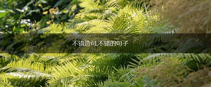不错造句,不错的句子,第1张