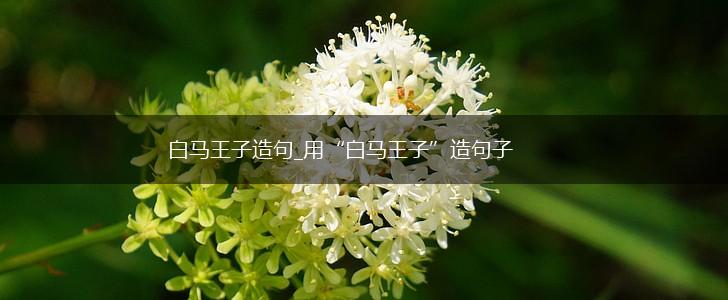 白马王子造句_用“白马王子”造句子,第1张