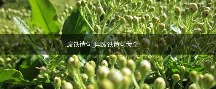 废铁造句_用废铁造句大全,第1张 废铁造句_用废铁造句大全,第1张