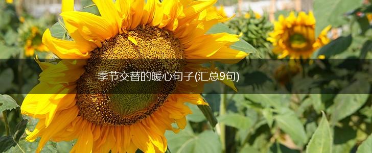 季节交替的暖心句子(汇总9句),第1张