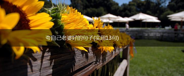 夸自己老婆好的句子(实用13句),第1张