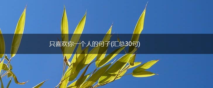 只喜欢你一个人的句子(汇总30句),第1张