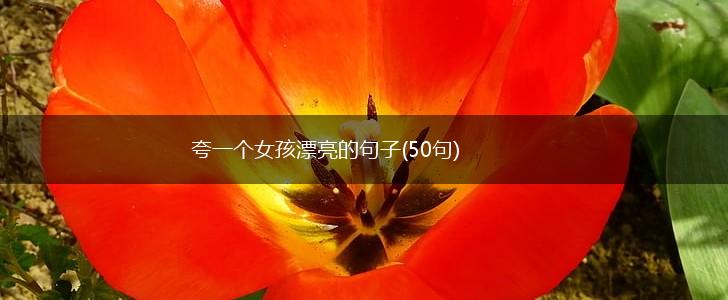 夸一个女孩漂亮的句子(50句),第1张