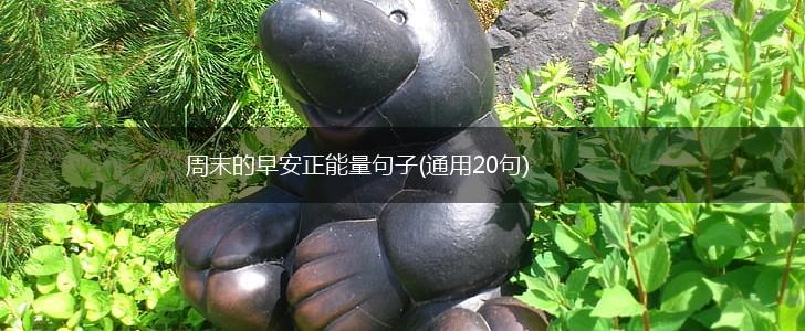 周末的早安正能量句子(通用20句),第1张