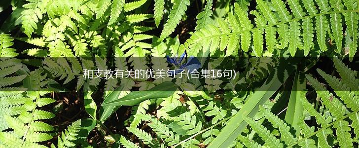 和支教有关的优美句子(合集16句),第1张