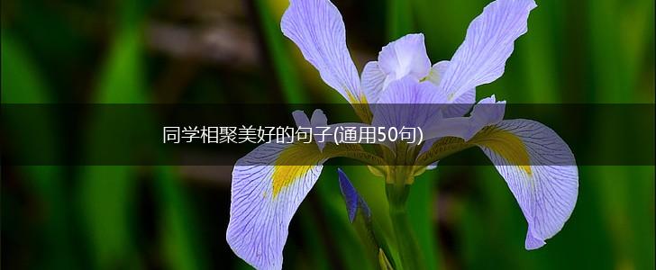 同学相聚美好的句子(通用50句),第1张