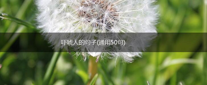 吓唬人的句子(通用50句),第1张
