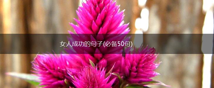 女人成功的句子(必备50句),第1张