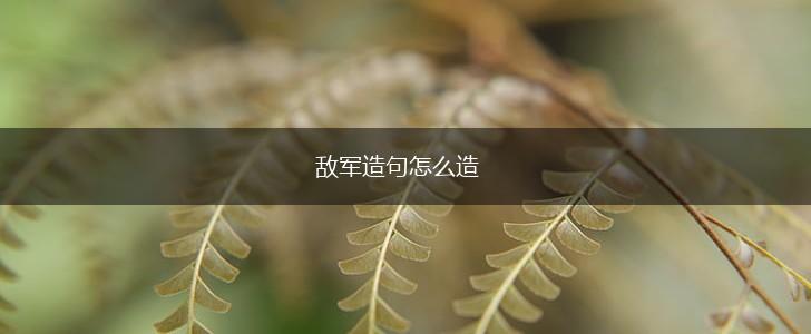 敌军造句怎么造,第1张