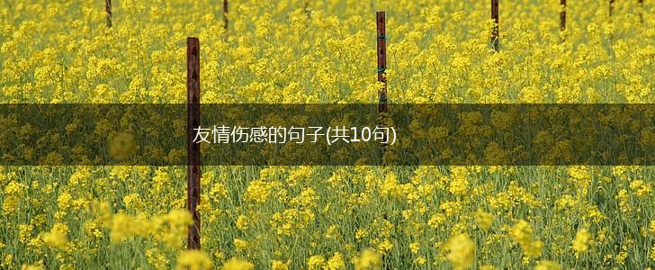 友情伤感的句子(共10句),第1张