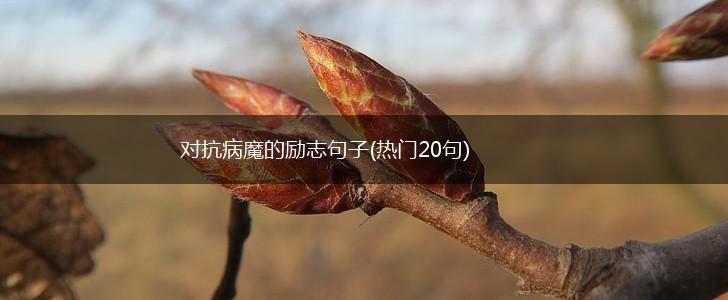对抗病魔的励志句子(热门20句),第1张