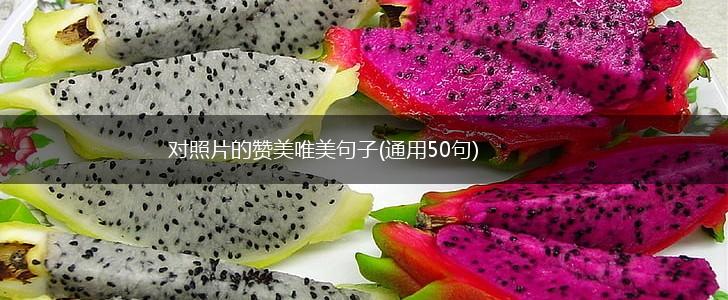 对照片的赞美唯美句子(通用50句),第1张