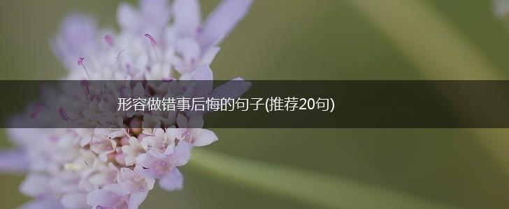 形容做错事后悔的句子(推荐20句),第1张