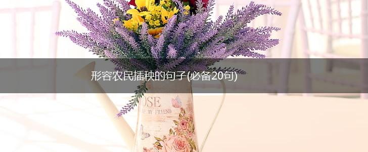 形容农民插秧的句子(必备20句),第1张
