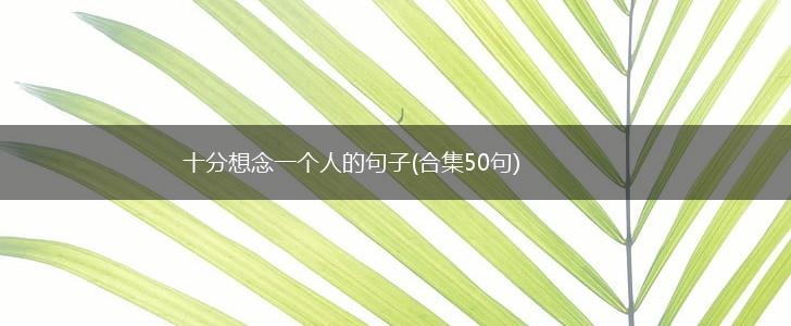 十分想念一个人的句子(合集50句),第1张