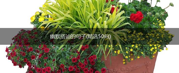 幽默搭讪的句子(精选50句),第1张
