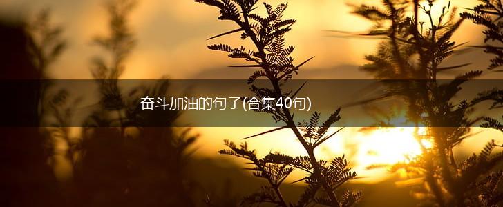 奋斗加油的句子(合集40句),第1张