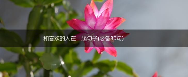和喜欢的人在一起句子(必备30句),第1张