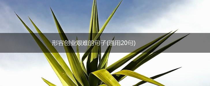 形容创业艰难的句子(通用20句),第1张