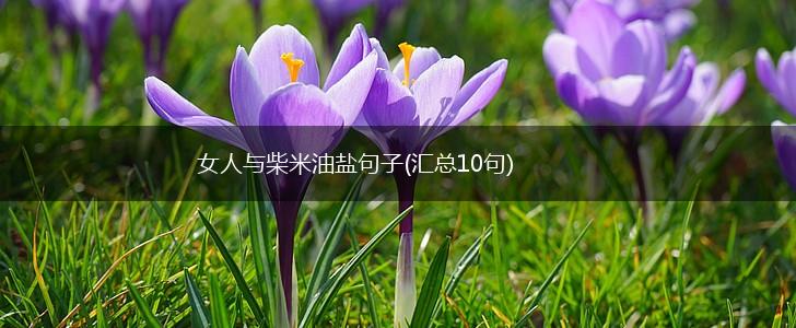 女人与柴米油盐句子(汇总10句),第1张