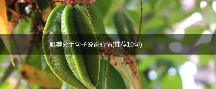 唯美分手句子说说心情(推荐10句),第1张