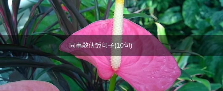 同事散伙饭句子(10句),第1张