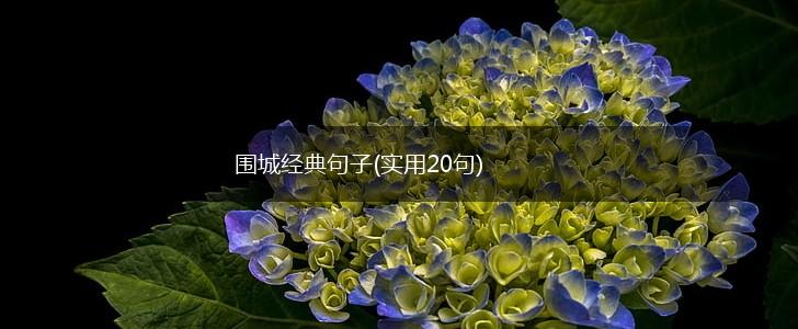 围城经典句子(实用20句),第1张